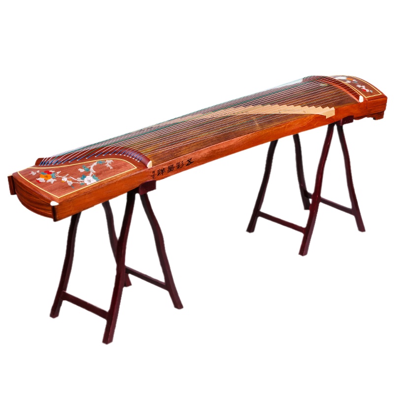 حامل عرض Guzheng العالمي على ش - مراجعة Musical Instrument Accessories وسعره